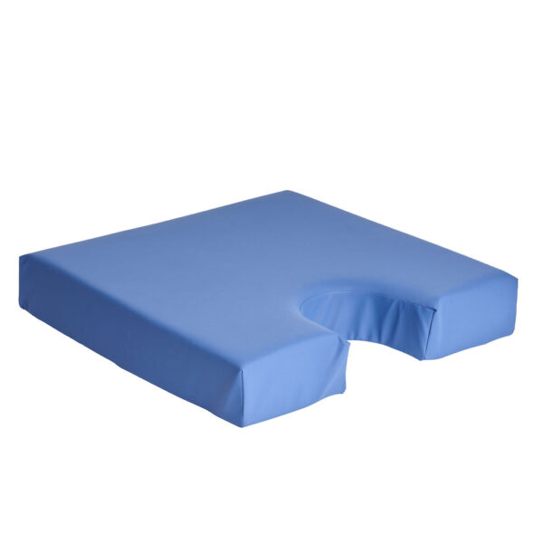 Coussin viscoélastique 5lbs et ouverture au coccyx housse bleue